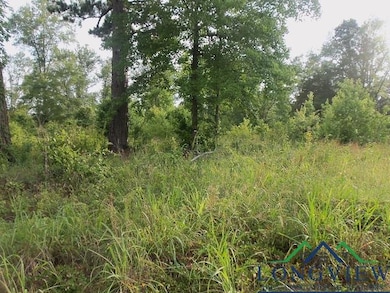 View of local wilderness