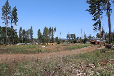 686 Bille Rd, Paradise, CA 95969 - photo 4