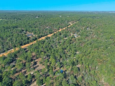 0 Patch Rd unit 990115, Defuniak Springs, FL 32433 - photo 4