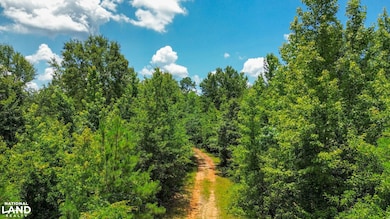 0 Oakley Rd unit 24338612, Hybart, AL 36452 - photo 3