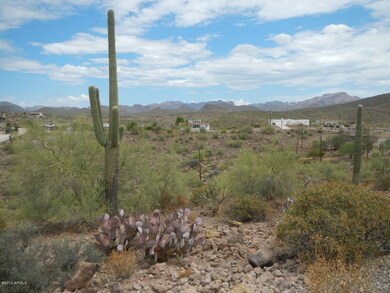 Lot and views