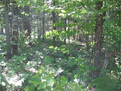 Wooded area of lot with mature trees