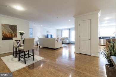 4800 Coyle Rd unit 507, Owings Mills, MD 21117 - photo 4