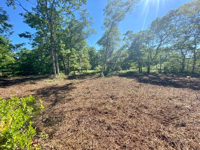 209 Oak Ln, West Tisbury, MA 02575 - photo 4