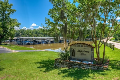 161 N Pine Harbour Dr, Coldspring, TX 77331 - photo 3