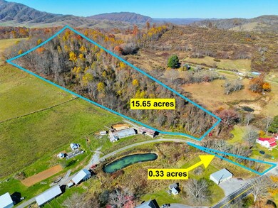 37.55 ac B F Buchanan Highway Quarter Horse Cir, Tazewell, VA 24608 - photo 3