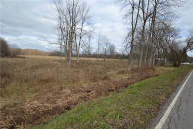 6111 Austin Rd, Newark, NY 14513 - photo 6