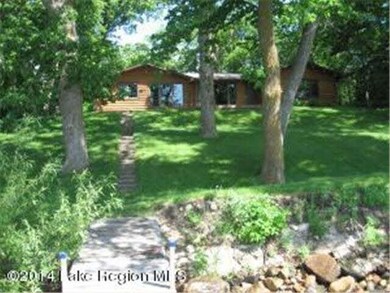 38132 Eldorado Beach Rd, Battle Lake, MN 56515 - photo 4
