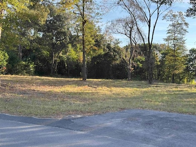 2024 Platt Springs Rd, West Columbia, SC 29169 - photo 2