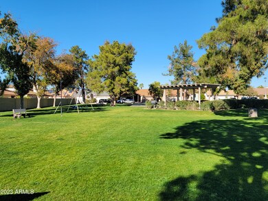 Community Park 2