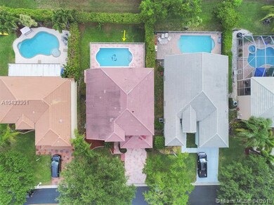 Gorgeous Pool w/ Dolphin Design!