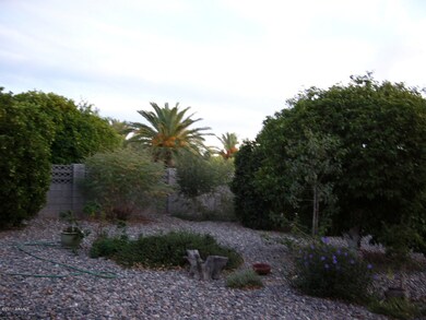 17626 N Jasmine Dr, Sun City, AZ 85373 - photo 2