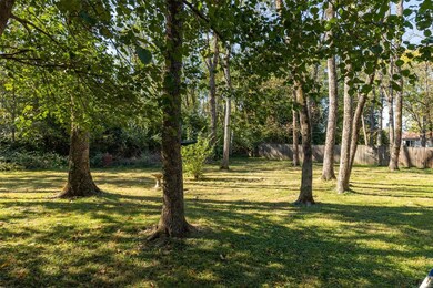 406 Aldergate St, Farmington, MO 63640 - photo 4