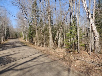 ON S Shore Ln unit 5.37 Ac., Deerbrook, WI 54424 - photo 2