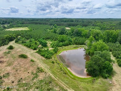 dji_fly_20250528_132516_0005_17485189545