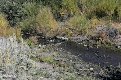 330 Veris Ct unit 1, Gardnerville, NV 89410 - photo 2