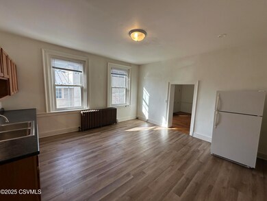 267 Chestnut St, Mifflinburg, PA 17844 - photo 6