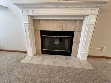Gas Fireplace