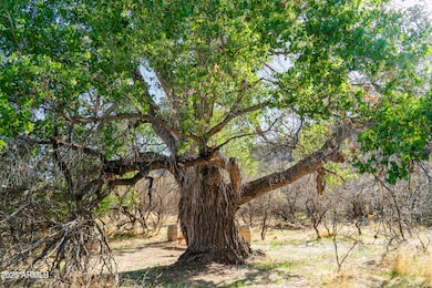 0000 E Willow Point Rd, Cornville, AZ 86325 - photo 7