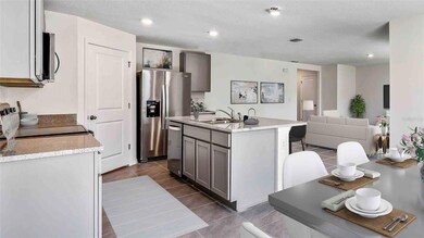 35656 Sunflower Hill Dr, Zephyrhills, FL 33541 - photo 4