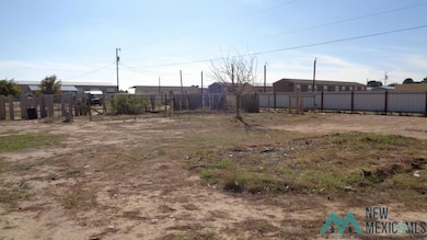 4313 Boyd Dr, Carlsbad, NM 88220 - photo 6