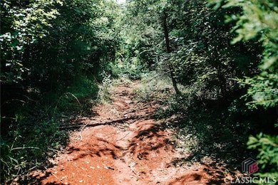 0 Griffin Rd unit CM1027810, Royston, GA 30662 - photo 7