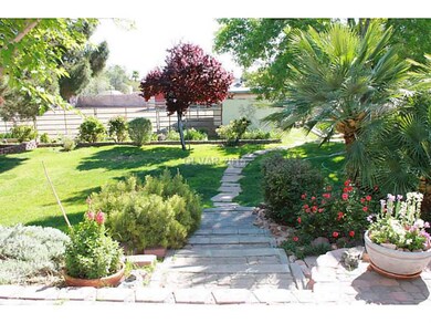 Yard/Garden.