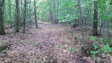 54 Lincoln Mountain Rd, Greenfield Center, NY 12833 - photo 2