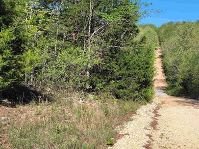 TBD Indian Valley Ln, Mammoth Spring, AR 72554 - photo 3