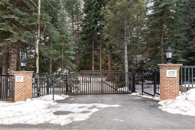 1727 Fall River Rd, Idaho Springs, CO 80452 - photo 4