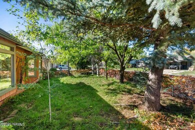 Backyard 3