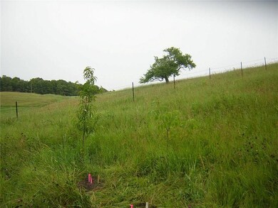 0 Stark Rd unit 1527243, Menomonie Township, WI 54751 - photo 6