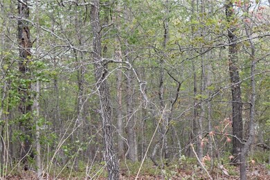 0 Littrell Berkshire Dr unit 1216111, Bella Vista, AR 72714 - photo 4