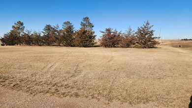 Tree Line