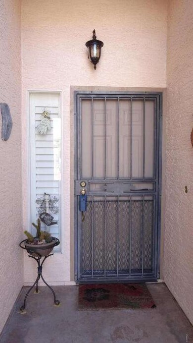 Security door