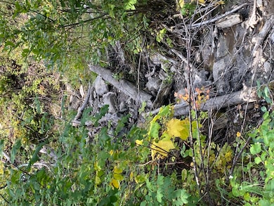 NHN Arlie Tracts, Other, See Remarks, MT 59411 - photo 2