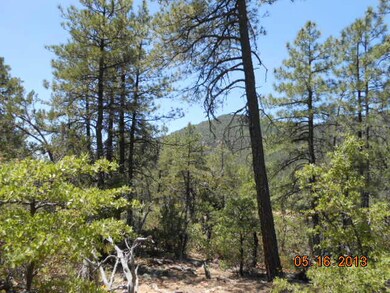 102 Sundown Ln, Pine, AZ 85544 - photo 7