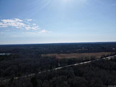 TBD Hwy 67, Curtis, AR 71743 - photo 5