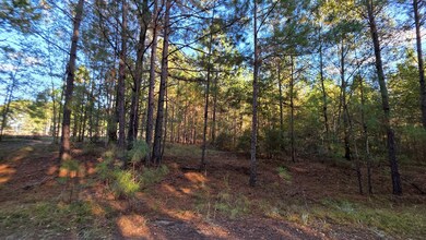 0 Deerwood & Brentwood unit 139029, Fitzgerald, GA 31750 - photo 2