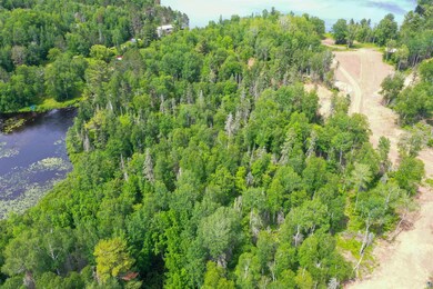 View of bird's eye view