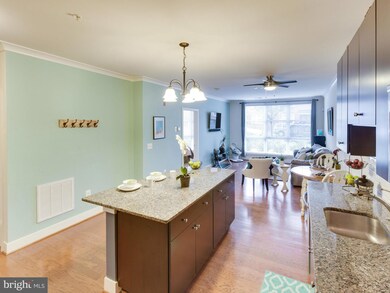 815 N Patrick St unit 104, Alexandria, VA 22314 - photo 5