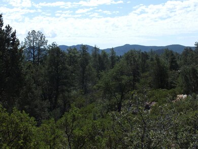 Southern Views