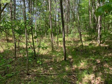 Lot 23 Whitetailed Deer Dr, Tomahawk, WI 54487 - photo 4