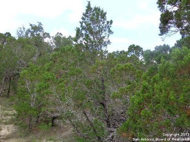 27212 Bent Trail, Fair Oaks, TX 78006 - photo 7