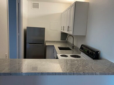 Plaza on Dewitt unit 708, Chicago, IL 60611 - photo 7