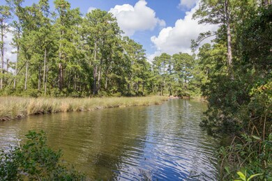 77 Wheat Patch Rd, Bath, NC 27810 - photo 6