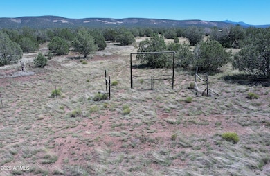 1887 Terry Ln, Kaibab Estates West, AZ 86320 - photo 3