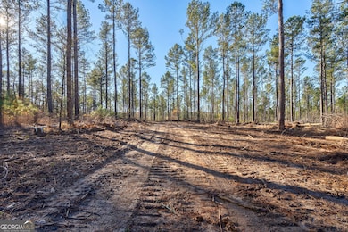 0 Faust Farm Rd, Crawford, GA 30630 - photo 6