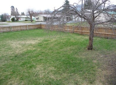 Fruit Trees