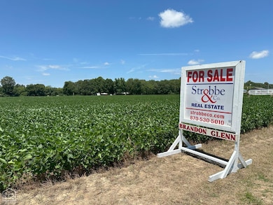 40 U S 49, Brookland, AR 72417 - photo 3